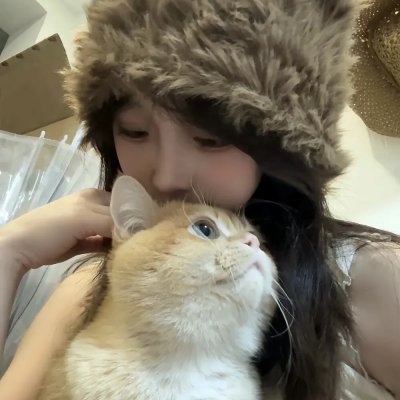 真假维梅尔 高清封面